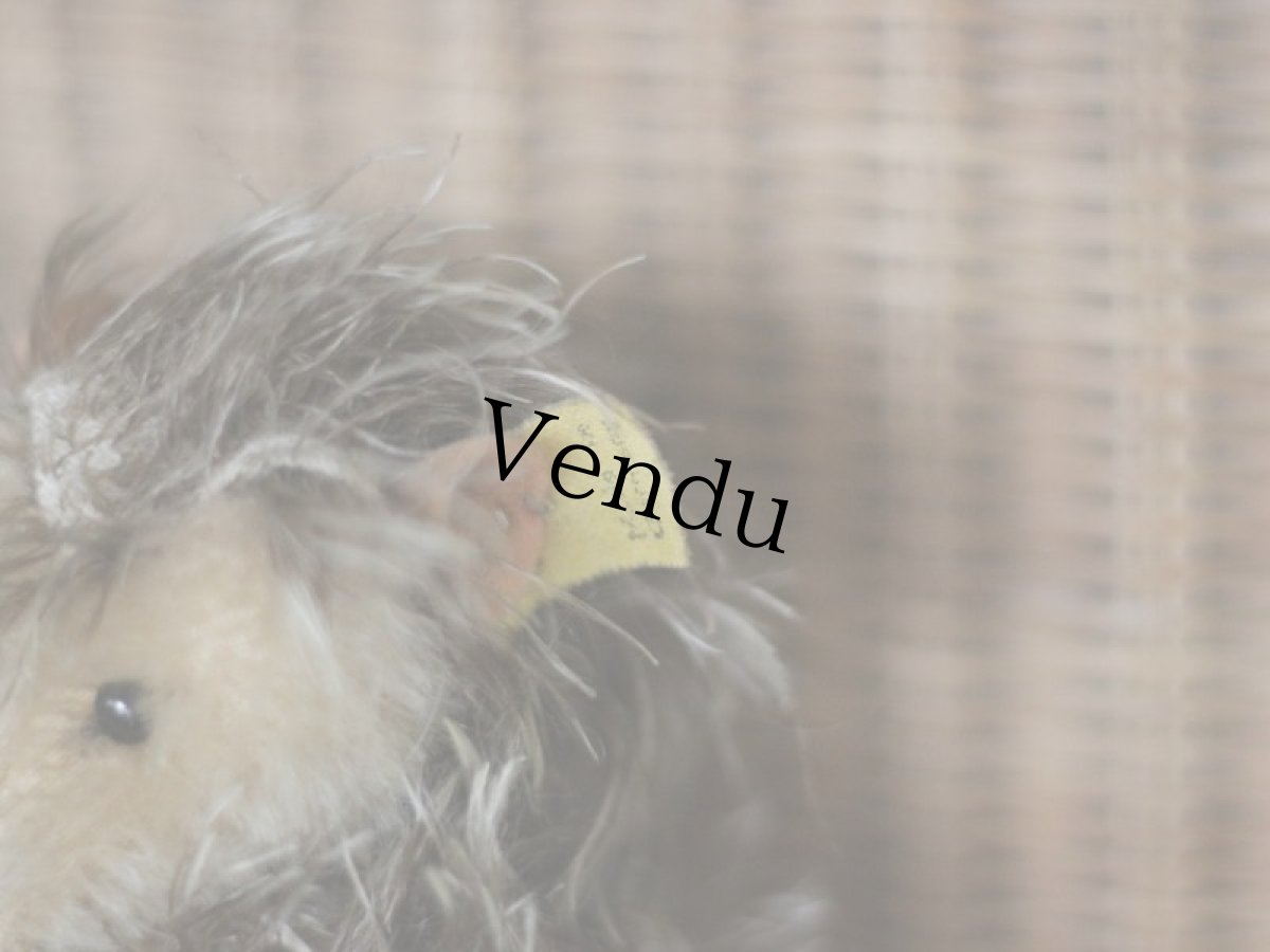 画像7: Antique Steiff Joggi Hedgehog/ヨーロッパ蚤の市 (7)