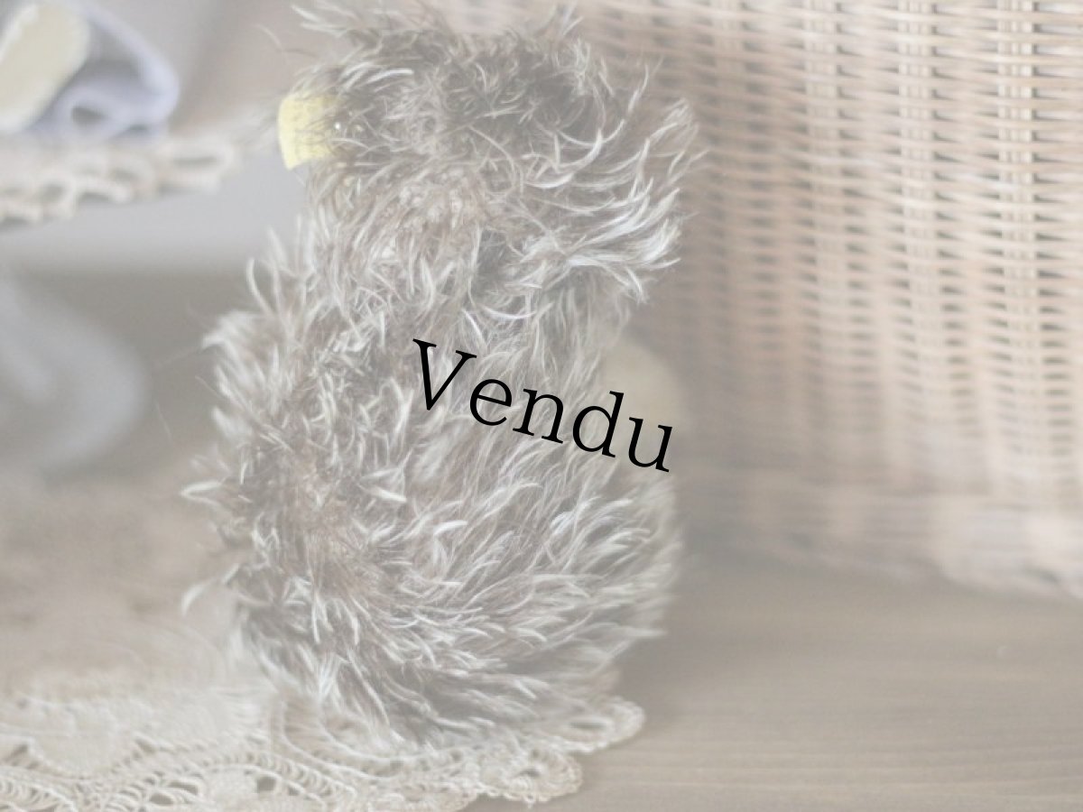 画像6: Antique Steiff Joggi Hedgehog/ヨーロッパ蚤の市 (6)