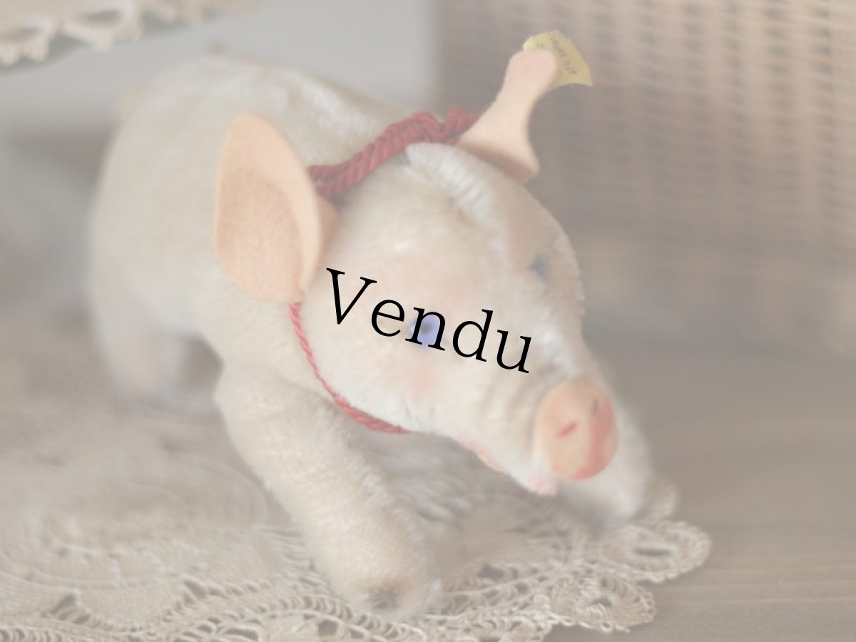 画像8: Antique Steiff Jolanthe Pig/ヨーロッパ蚤の市 (8)