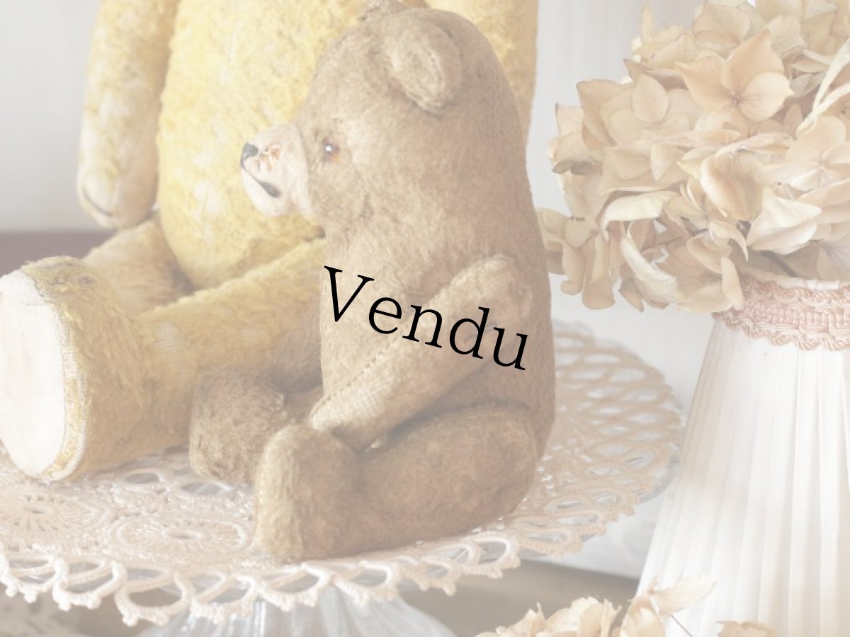 画像7: Shabby Mini Bear 7in/France (7)