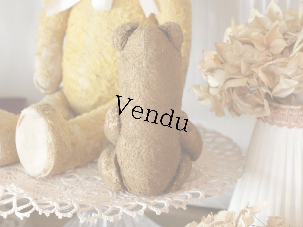 画像8: Shabby Mini Bear 7in/France (8)