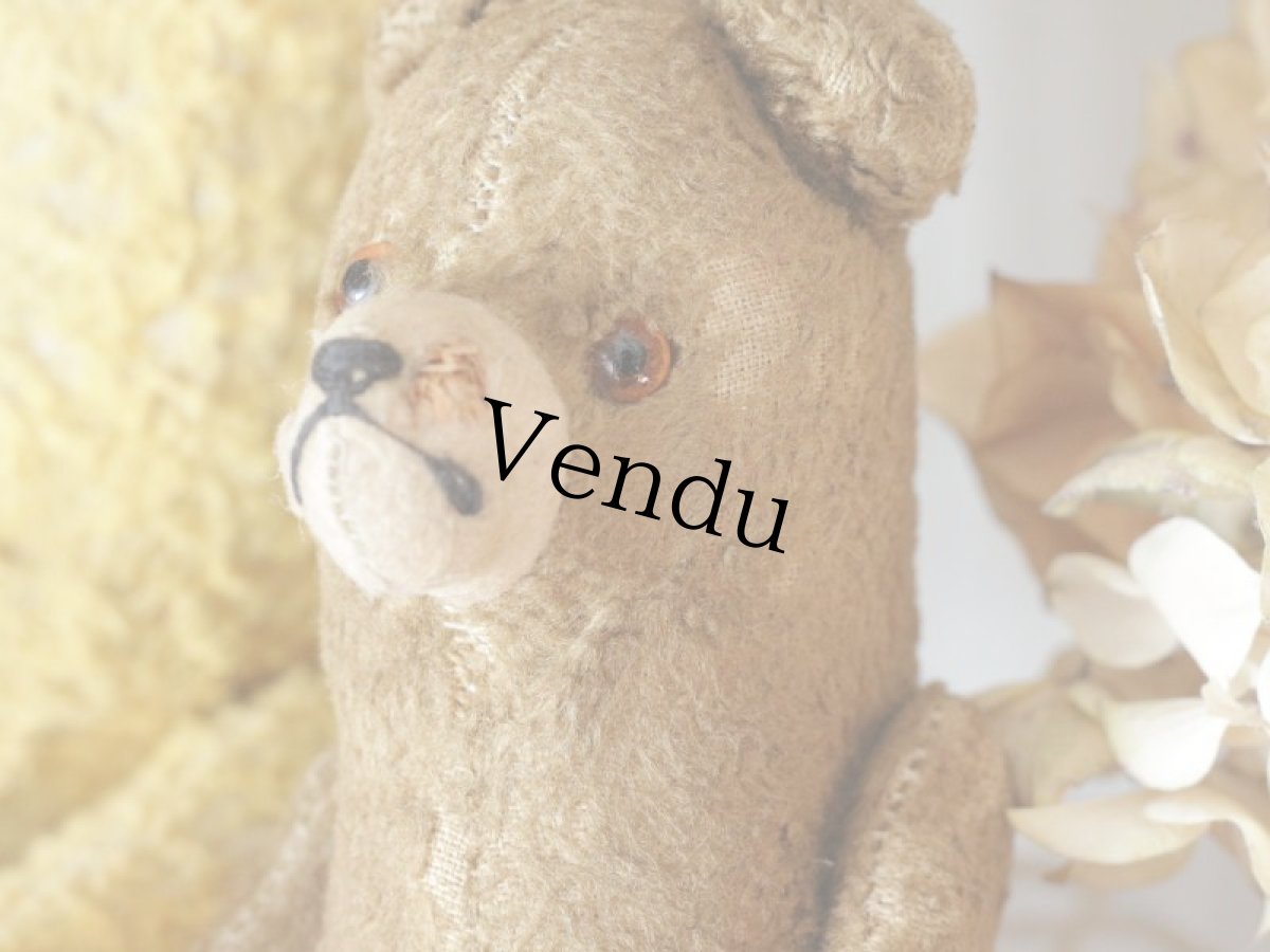 画像4: Shabby Mini Bear 7in/France (4)