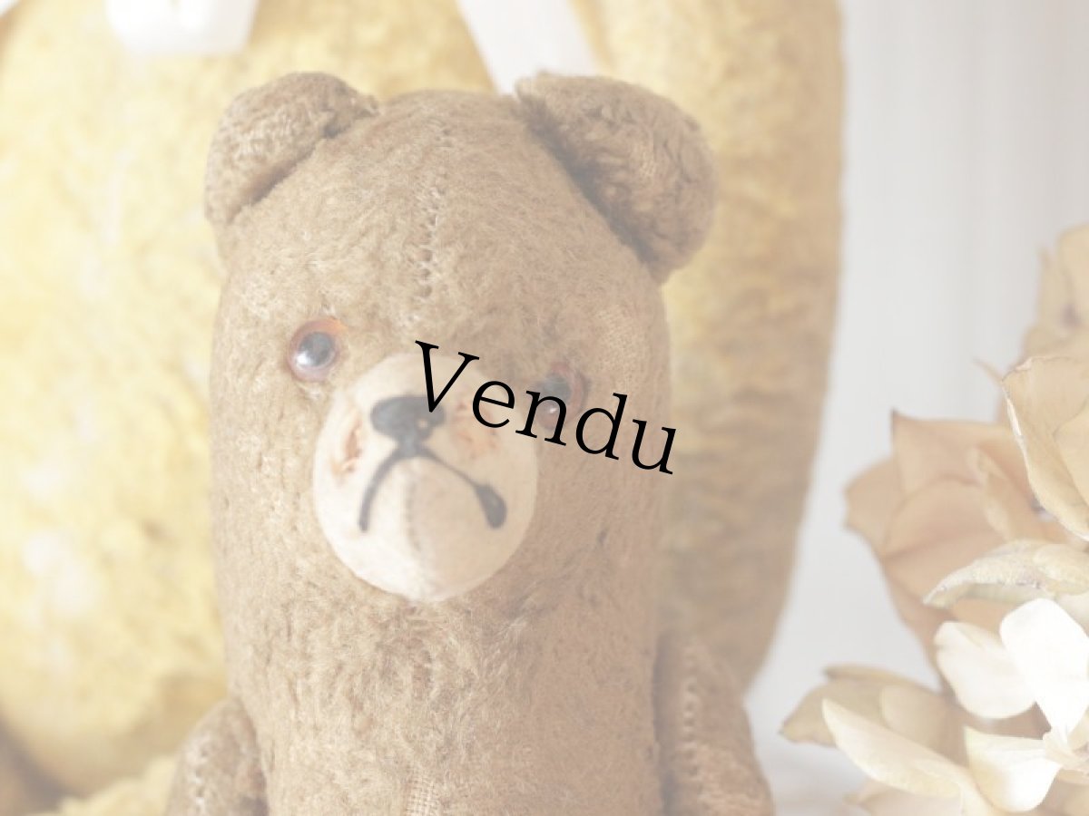 画像2: Shabby Mini Bear 7in/France (2)
