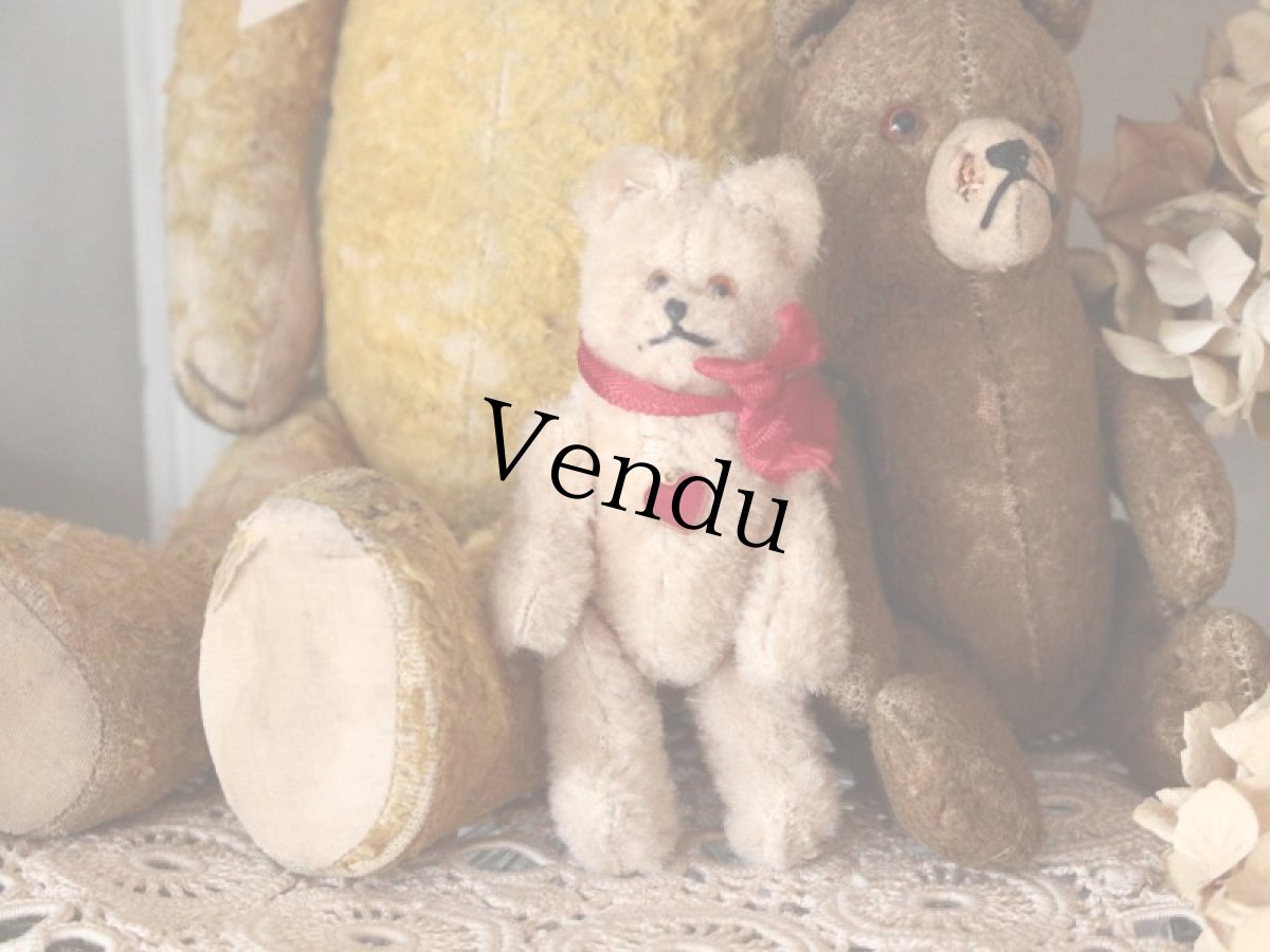画像8: Antique Mini Berg Bear 4in/Austria (8)