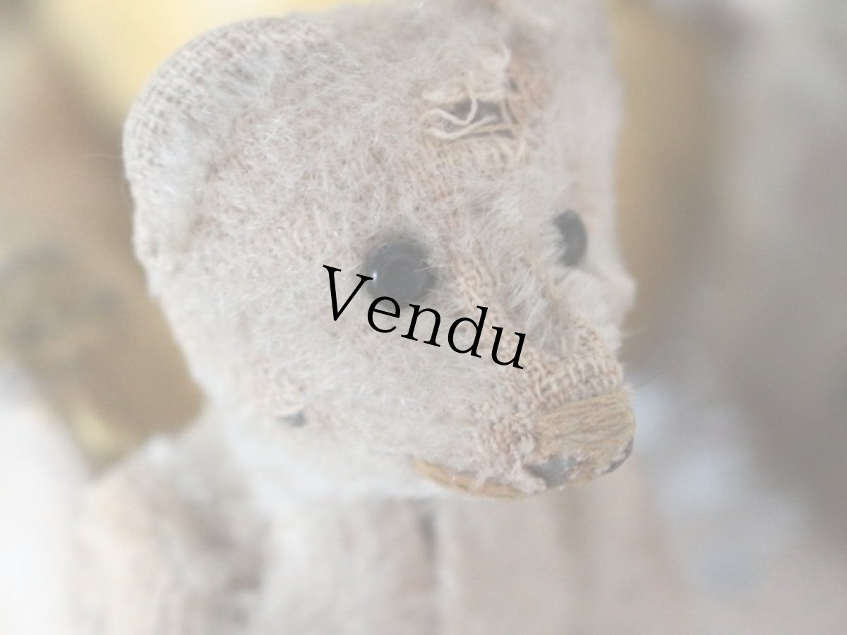 画像5: RARE Antique Schuco Pìccolo Bear/Germany (5)