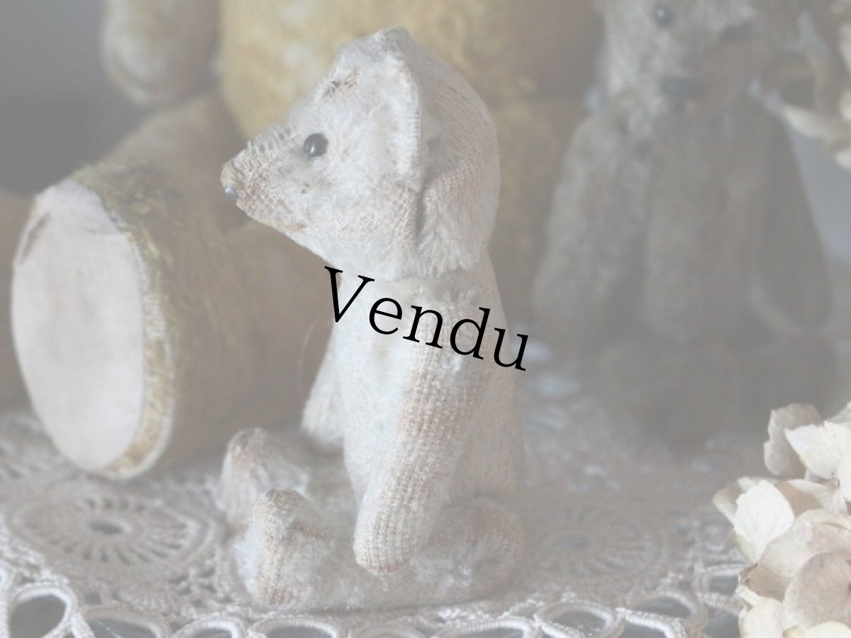 画像7: RARE Antique Schuco Pìccolo Bear/Germany (7)