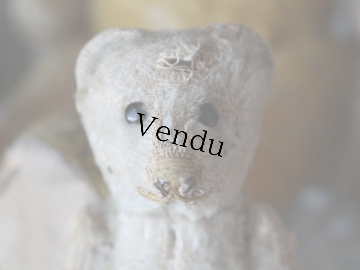 画像3: RARE Antique Schuco Pìccolo Bear/Germany (3)