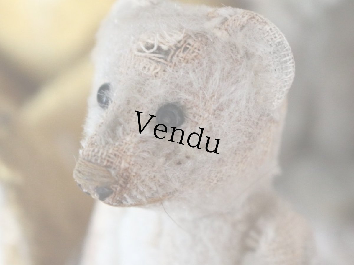 画像4: RARE Antique Schuco Pìccolo Bear/Germany (4)