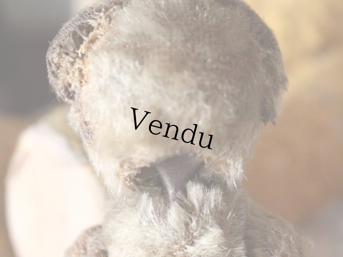 画像9: RARE Antique Schuco Yes/No Bear/Germany (9)