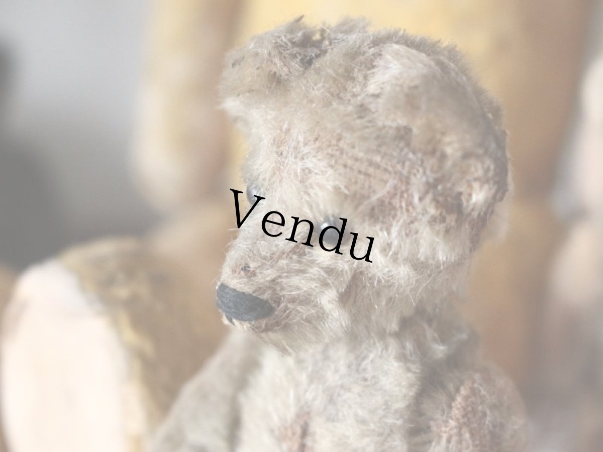 画像4: RARE Antique Schuco Yes/No Bear/Germany (4)