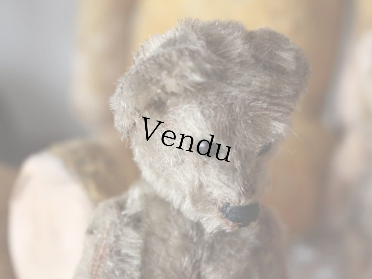 画像5: RARE Antique Schuco Yes/No Bear/Germany (5)