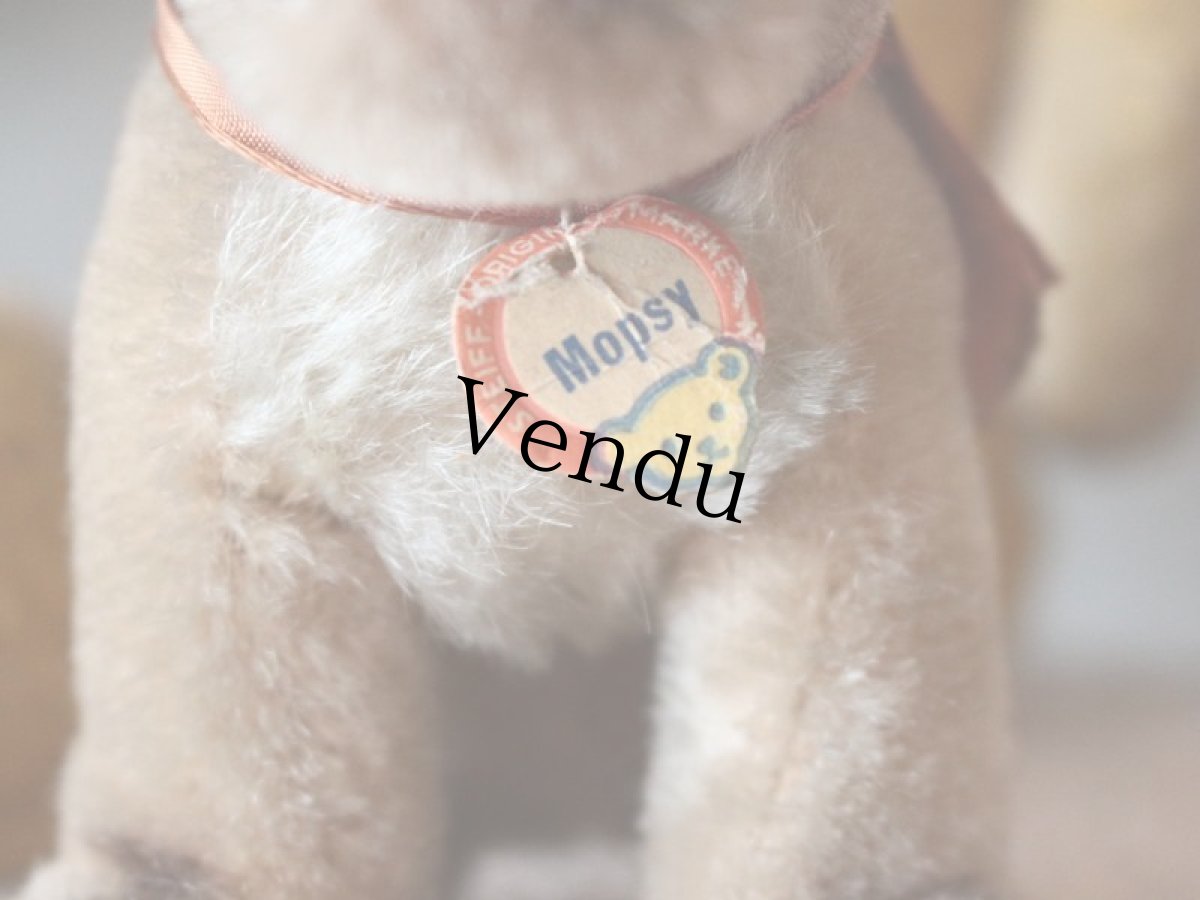 画像3: Antique Steiff Mopsy Pug/ヨーロッパ蚤の市 (3)
