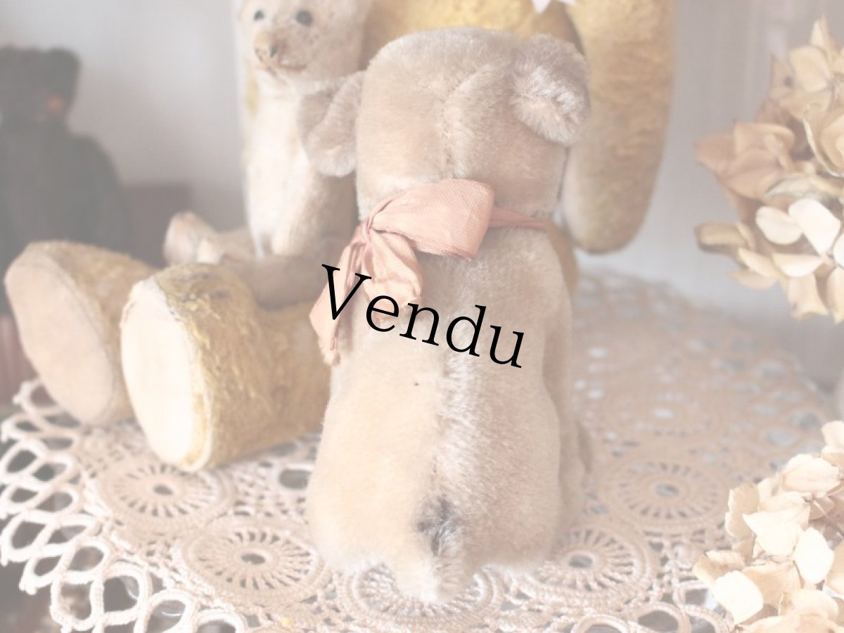 画像8: Antique Steiff Mopsy Pug/ヨーロッパ蚤の市 (8)