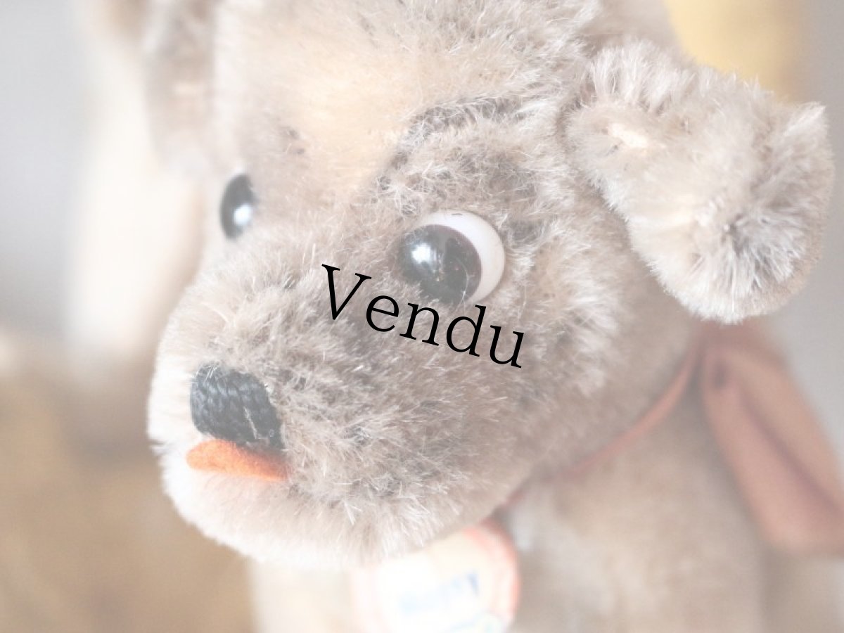 画像5: Antique Steiff Mopsy Pug/ヨーロッパ蚤の市 (5)