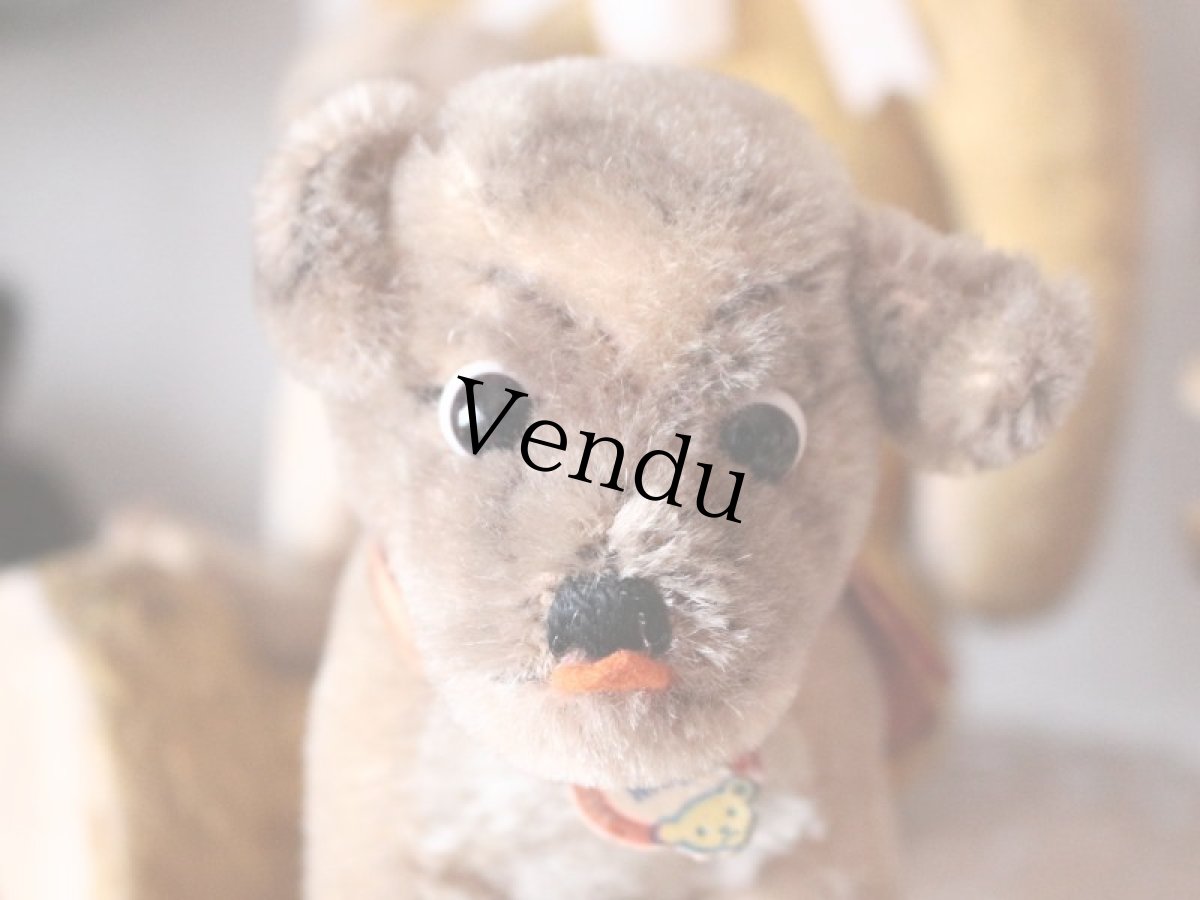 画像2: Antique Steiff Mopsy Pug/ヨーロッパ蚤の市 (2)