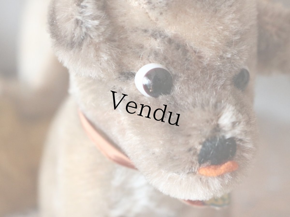 画像6: Antique Steiff Mopsy Pug/ヨーロッパ蚤の市 (6)