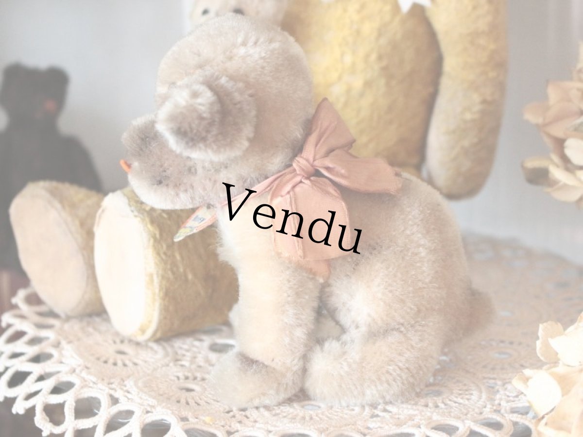 画像7: Antique Steiff Mopsy Pug/ヨーロッパ蚤の市 (7)