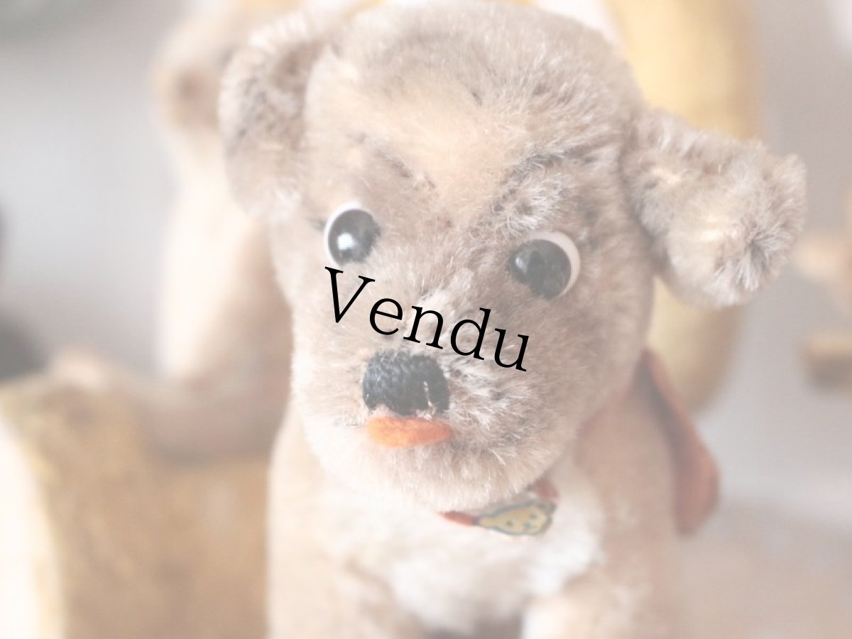 画像10: Antique Steiff Mopsy Pug/ヨーロッパ蚤の市 (10)
