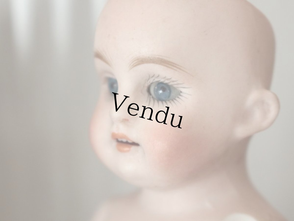 画像14: Kestner ALICE 7in & Friend Terrier /Germany (14)