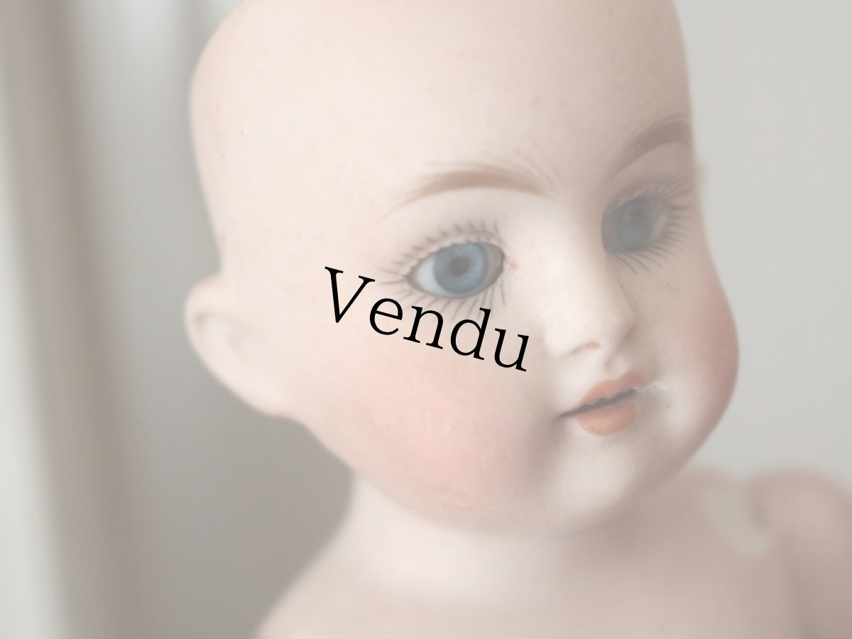 画像15: Kestner ALICE 7in & Friend Terrier /Germany (15)