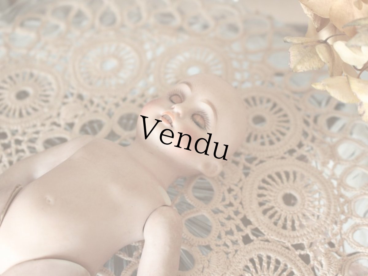 画像17: Kestner ALICE 7in & Friend Terrier /Germany (17)