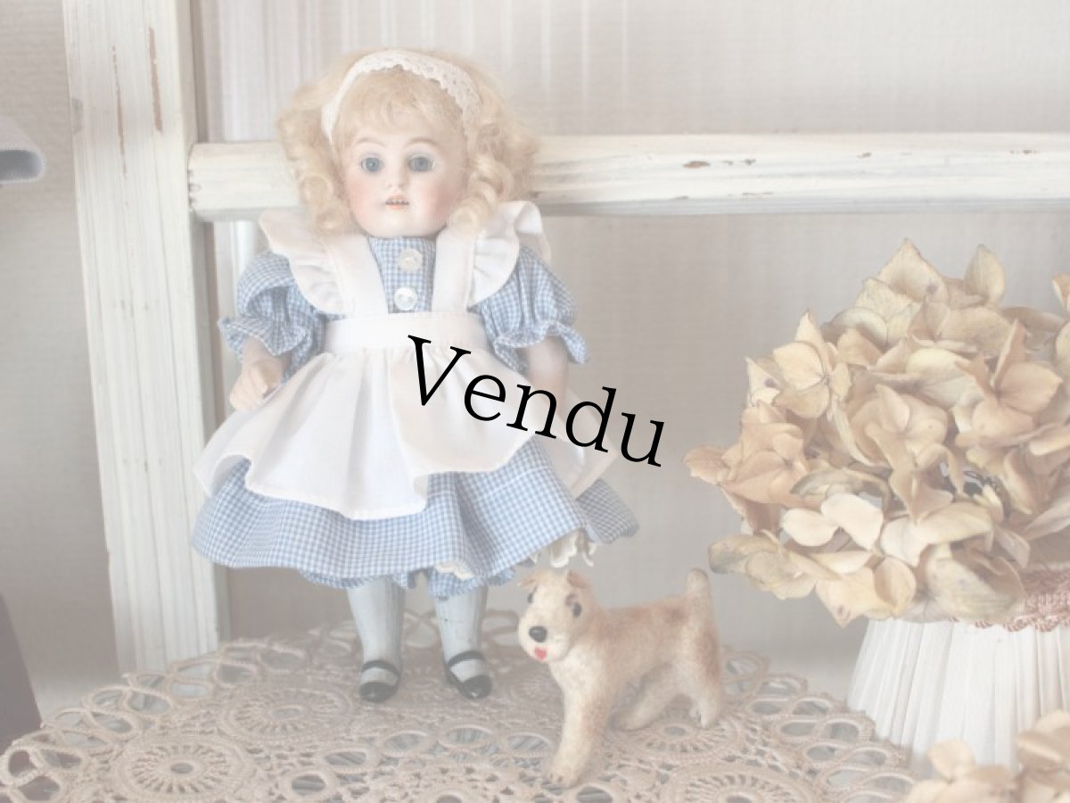 画像5: Kestner ALICE 7in & Friend Terrier /Germany (5)