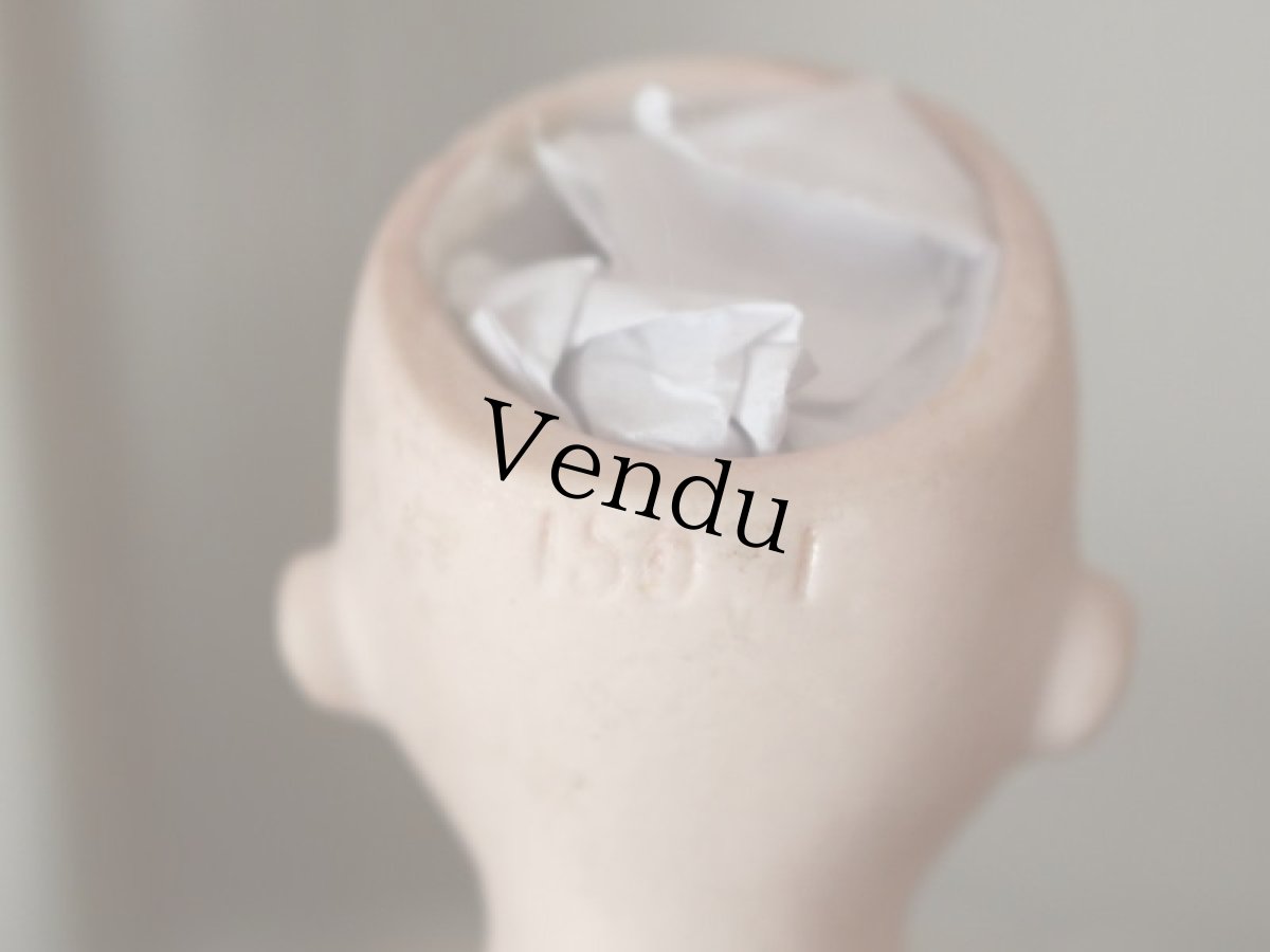 画像16: Kestner ALICE 7in & Friend Terrier /Germany (16)