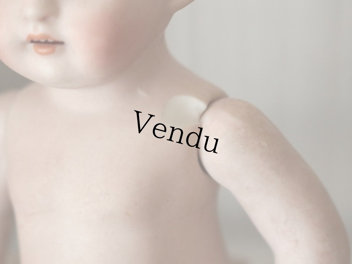 画像13: Kestner ALICE 7in & Friend Terrier /Germany (13)