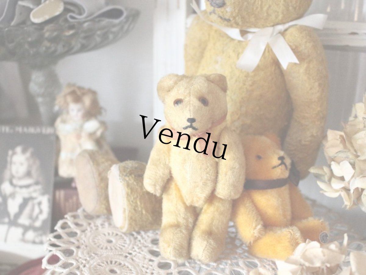 画像8: Antique Mini Bear 5in/Germany (8)