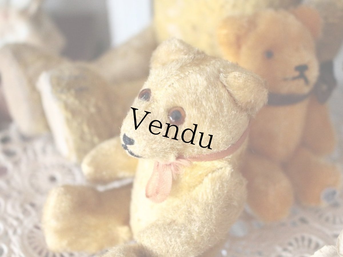画像7: Antique Mini Bear 5in/Germany (7)