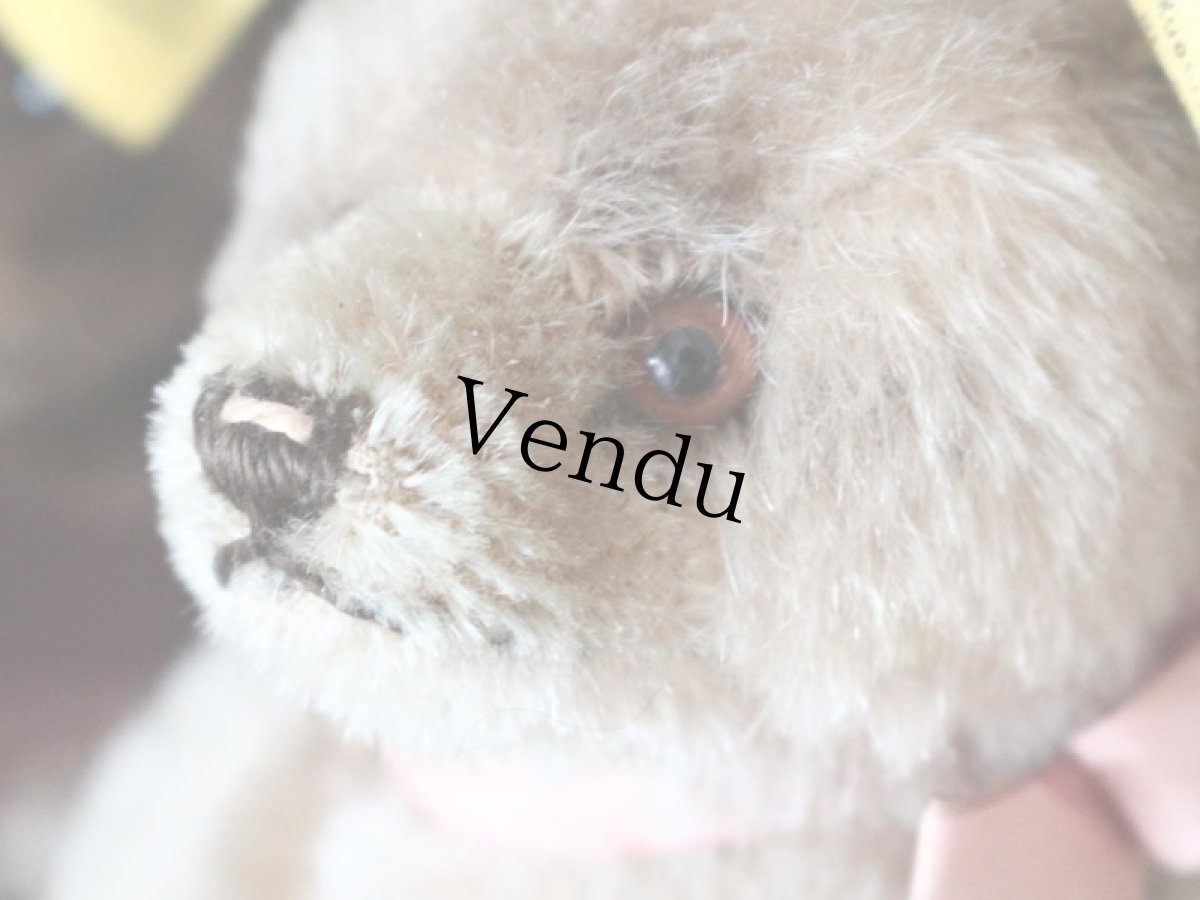 画像6: RARE!! Antique Steiff Jackie Baby Bear/ 蚤の市 (6)