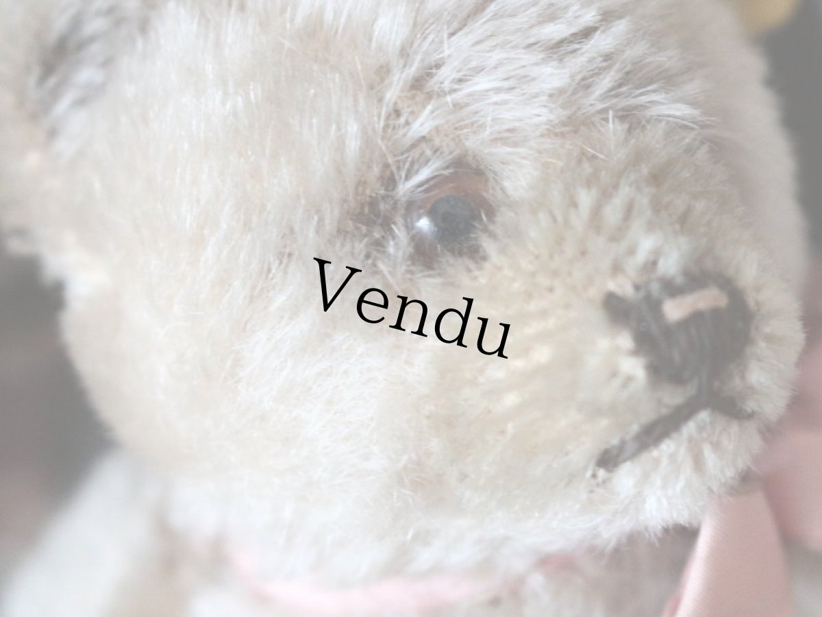 画像5: RARE!! Antique Steiff Jackie Baby Bear/ 蚤の市 (5)