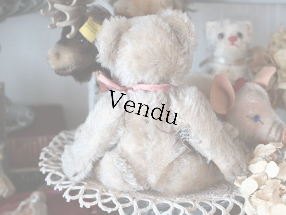 画像7: RARE!! Antique Steiff Jackie Baby Bear/ 蚤の市 (7)