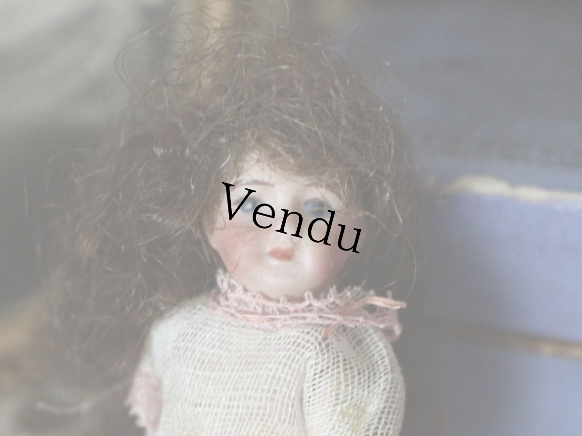 画像11: コンポジションボディ ミニョネット French＊ (11)