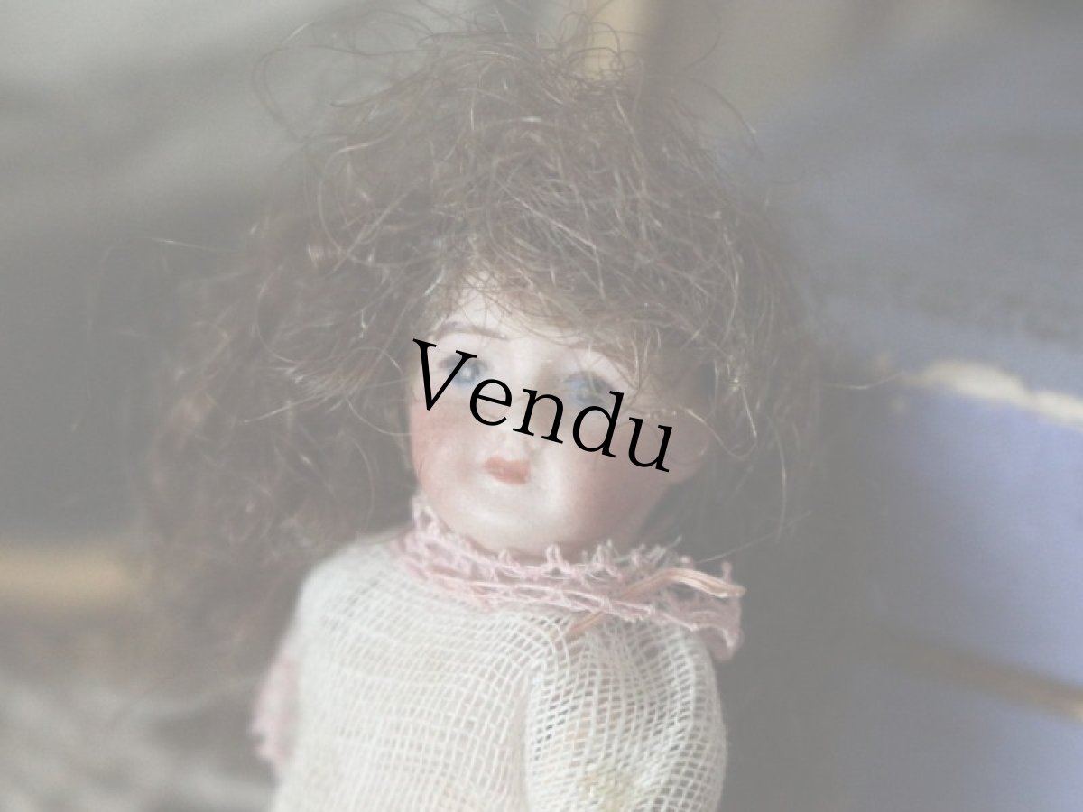 画像10: コンポジションボディ ミニョネット French＊ (10)