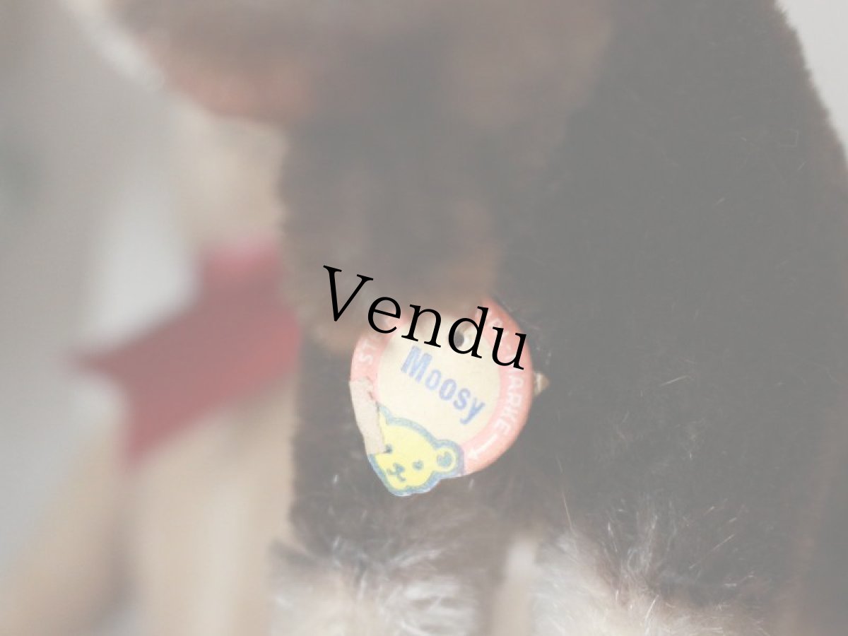 画像6: RARE!! RARE!! RARE!! Antique Steiff Moosy moose ヘラジカ/ 蚤の市 (6)