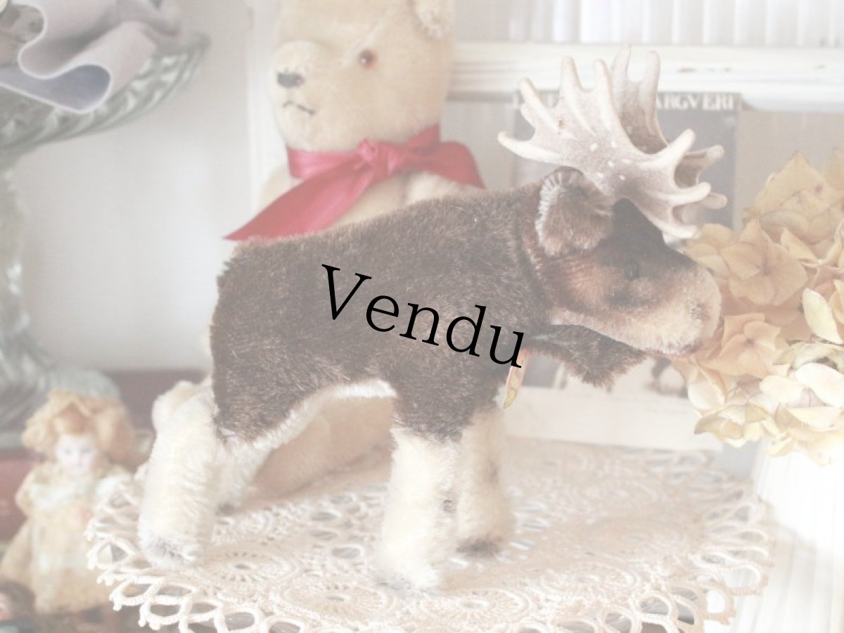 画像9: RARE!! RARE!! RARE!! Antique Steiff Moosy moose ヘラジカ/ 蚤の市 (9)