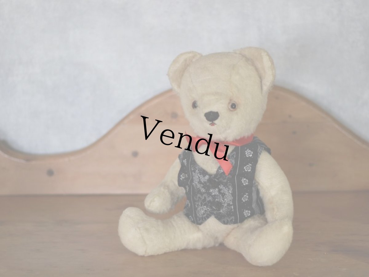 画像1: White Bear / French＊ (1)