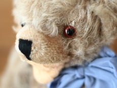 画像5: Clemens Zotty Bear (5)