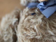 画像6: Clemens Zotty Bear (6)