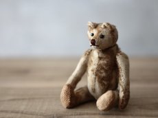 画像1: Vintage French Bear Beige S (1)