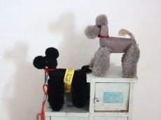 画像5: Steiff Miniature Poodle Gray/Germany (5)