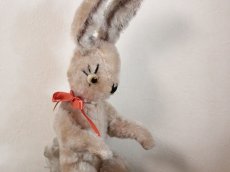 画像7: レア Cute Anker Rabbit/Germany (7)