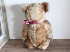 画像9: Antique Bear Chiltern/British (9)