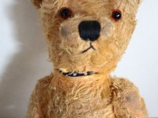 画像11: Antique Bear/British #142 (11)