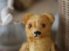 画像4: Antique Mini Bear 5.5in/フランス蚤の市 (4)