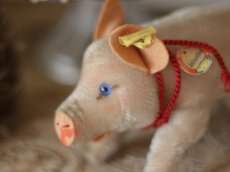 画像3: Antique Steiff Jolanthe Pig/ヨーロッパ蚤の市 (3)