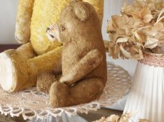 画像7: Shabby Mini Bear 7in/France (7)