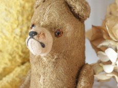 画像4: Shabby Mini Bear 7in/France (4)