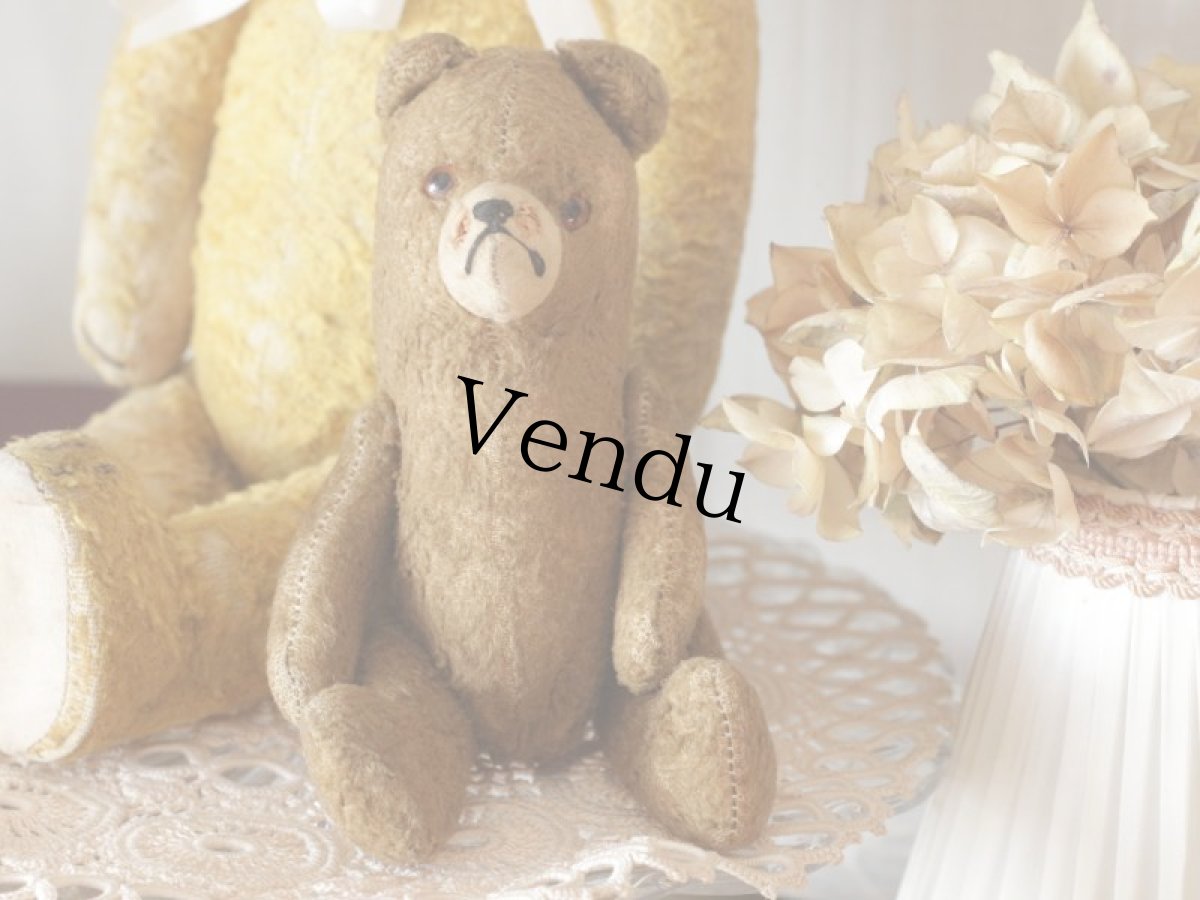 画像1: Shabby Mini Bear 7in/France (1)